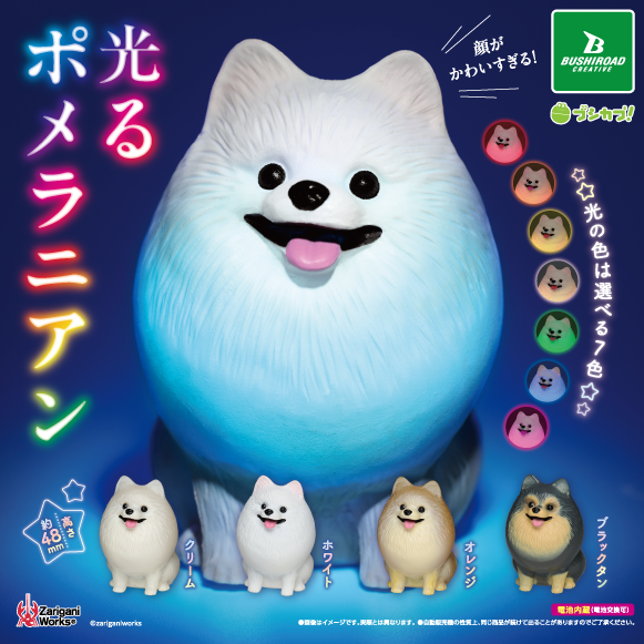光るポメラニアン