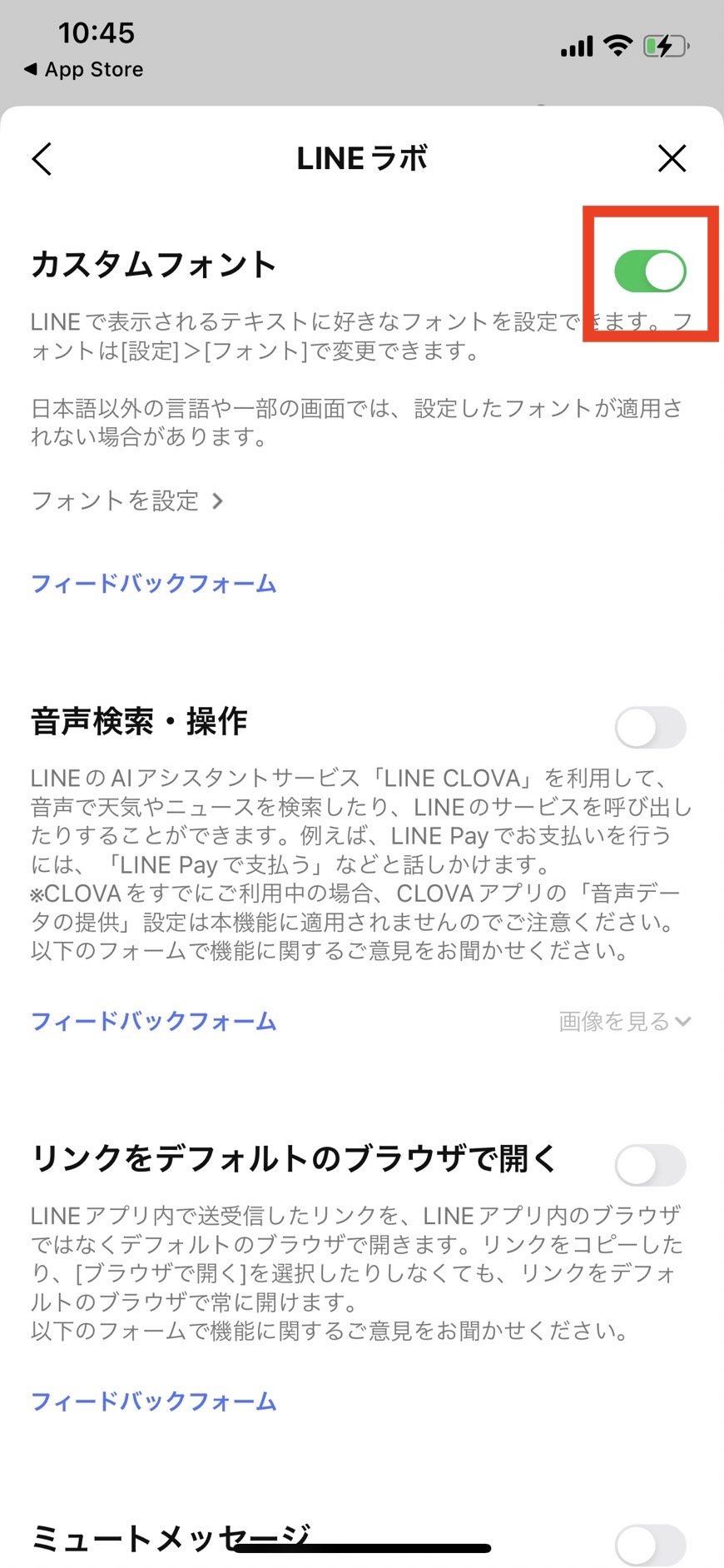 customfont-labs_02.jpg