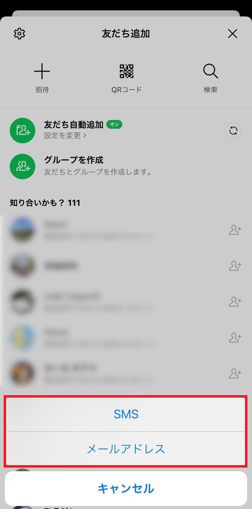 addemailsms_04.jpg