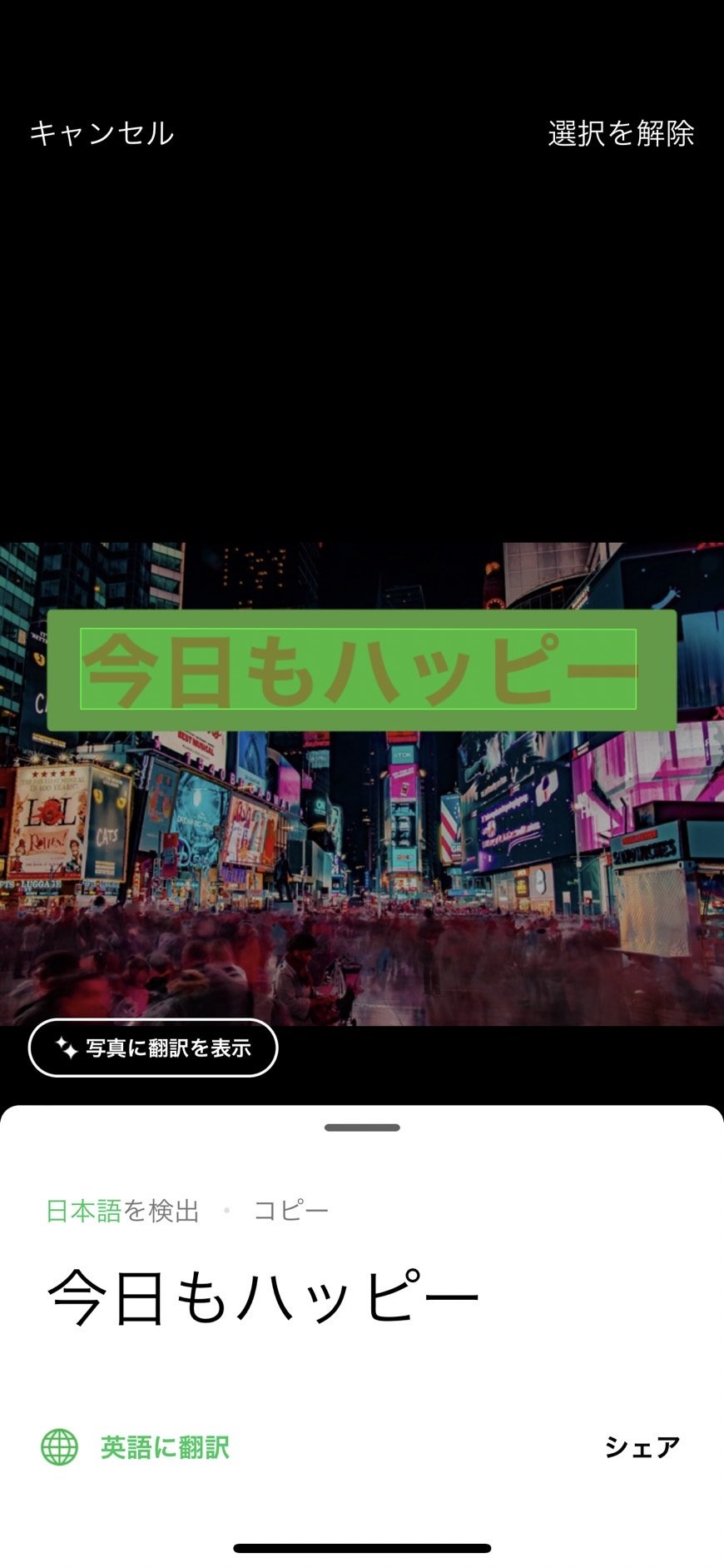 カメラ11.jpg