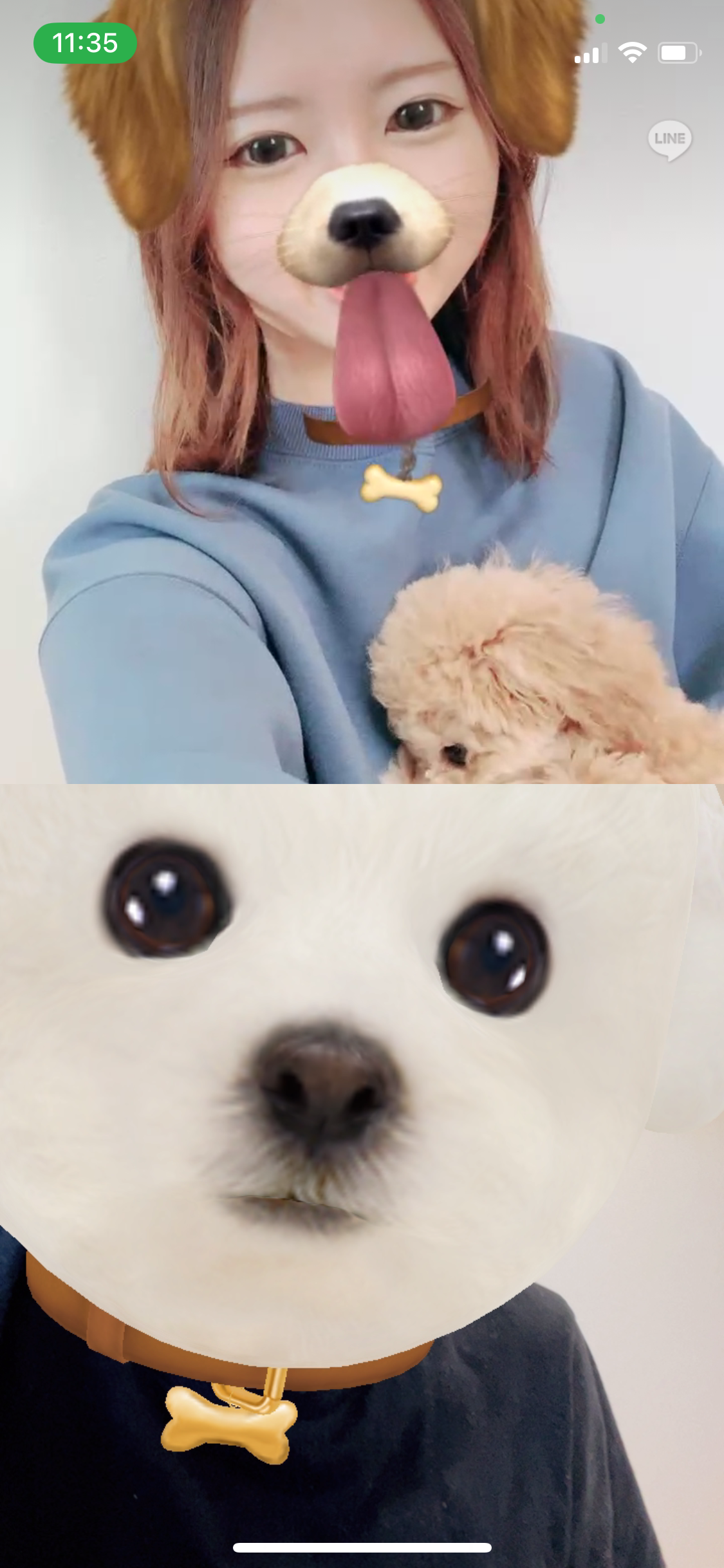 dogday2023_5.png