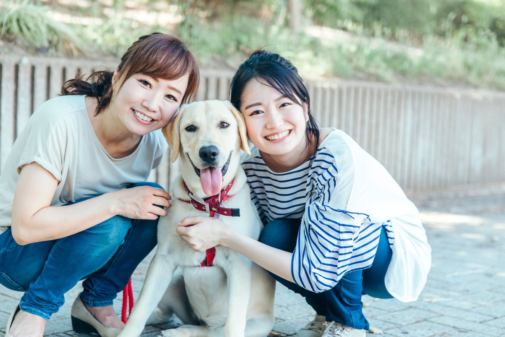 dogday_06.jpg