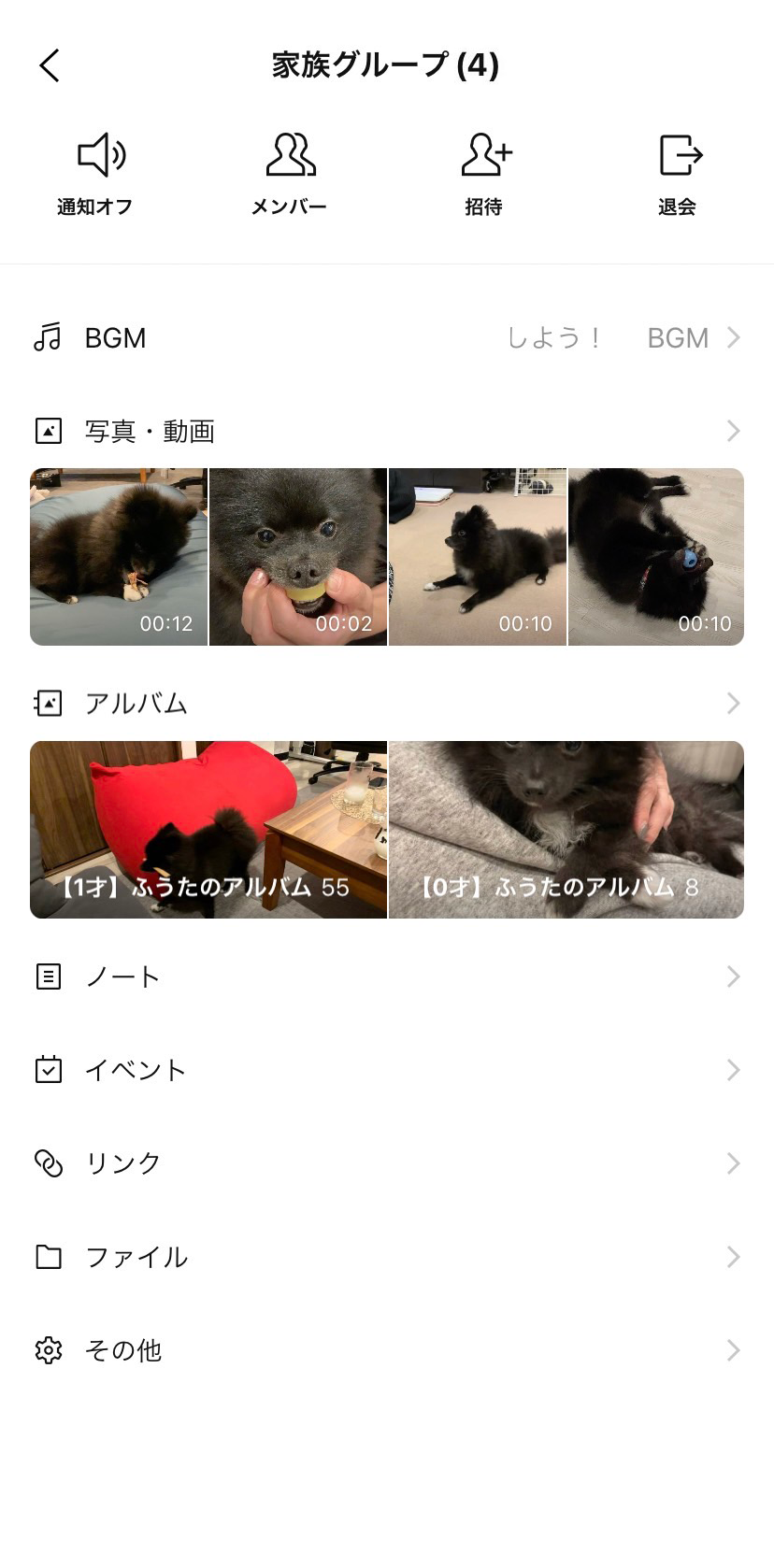 dogday_07.png
