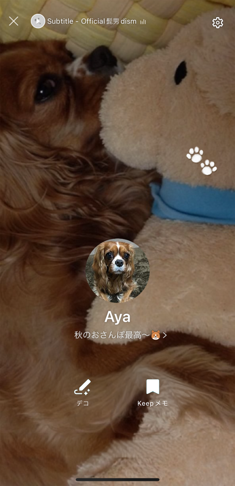dogday_profile1.png