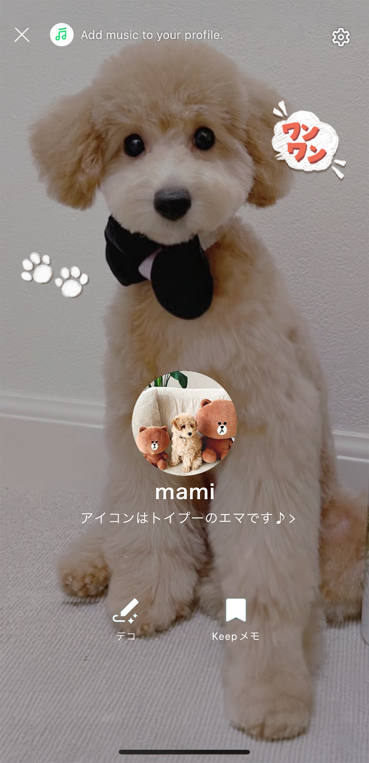 dogday_profile2.png