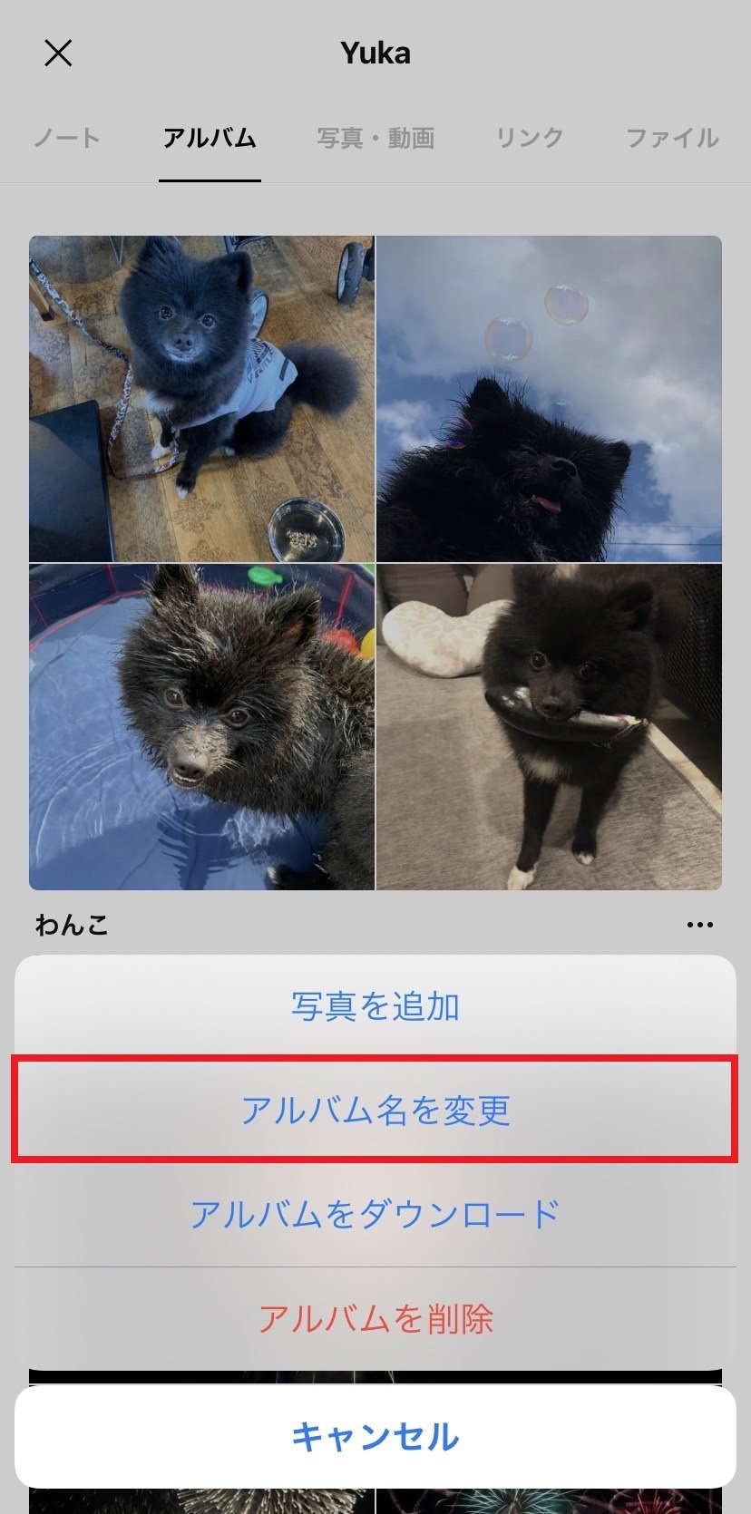 edit-albums_20.jpg