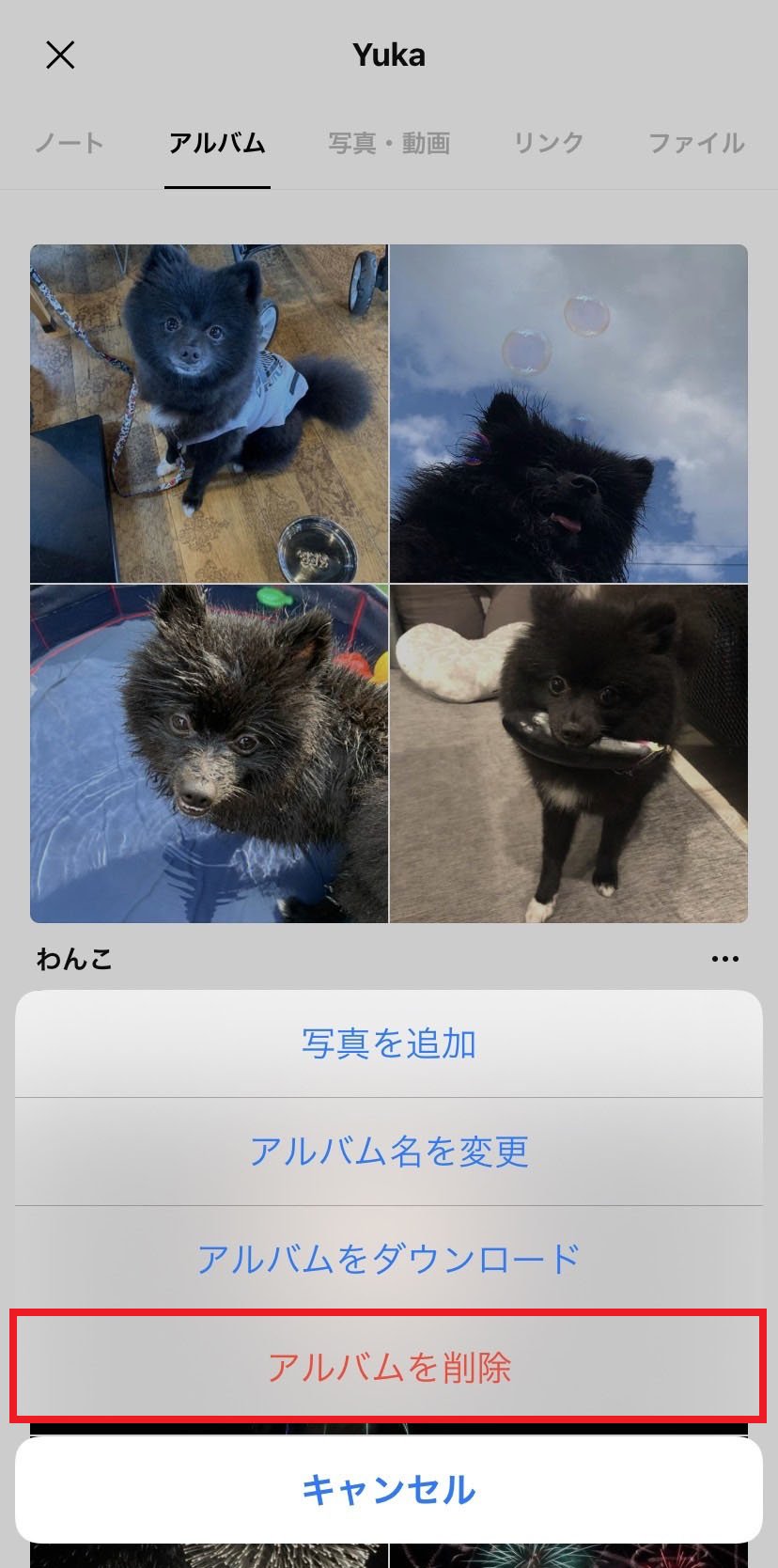 edit-albums_26.jpg