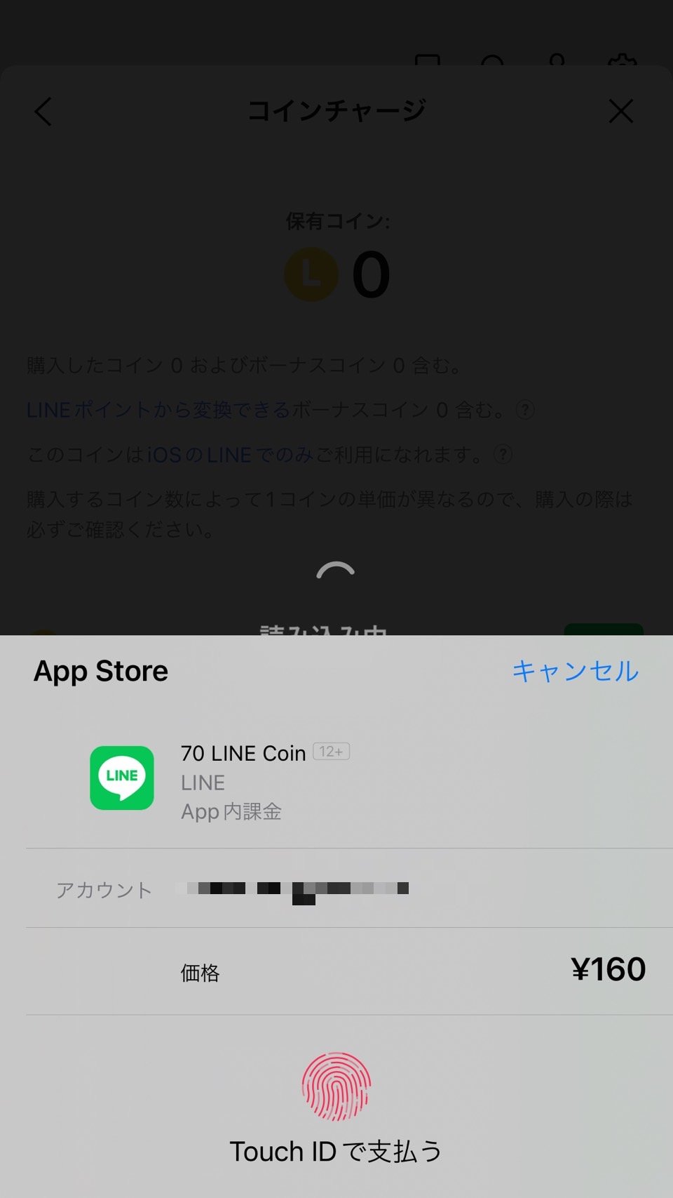 purchase-linecoin_05_v2.jpg