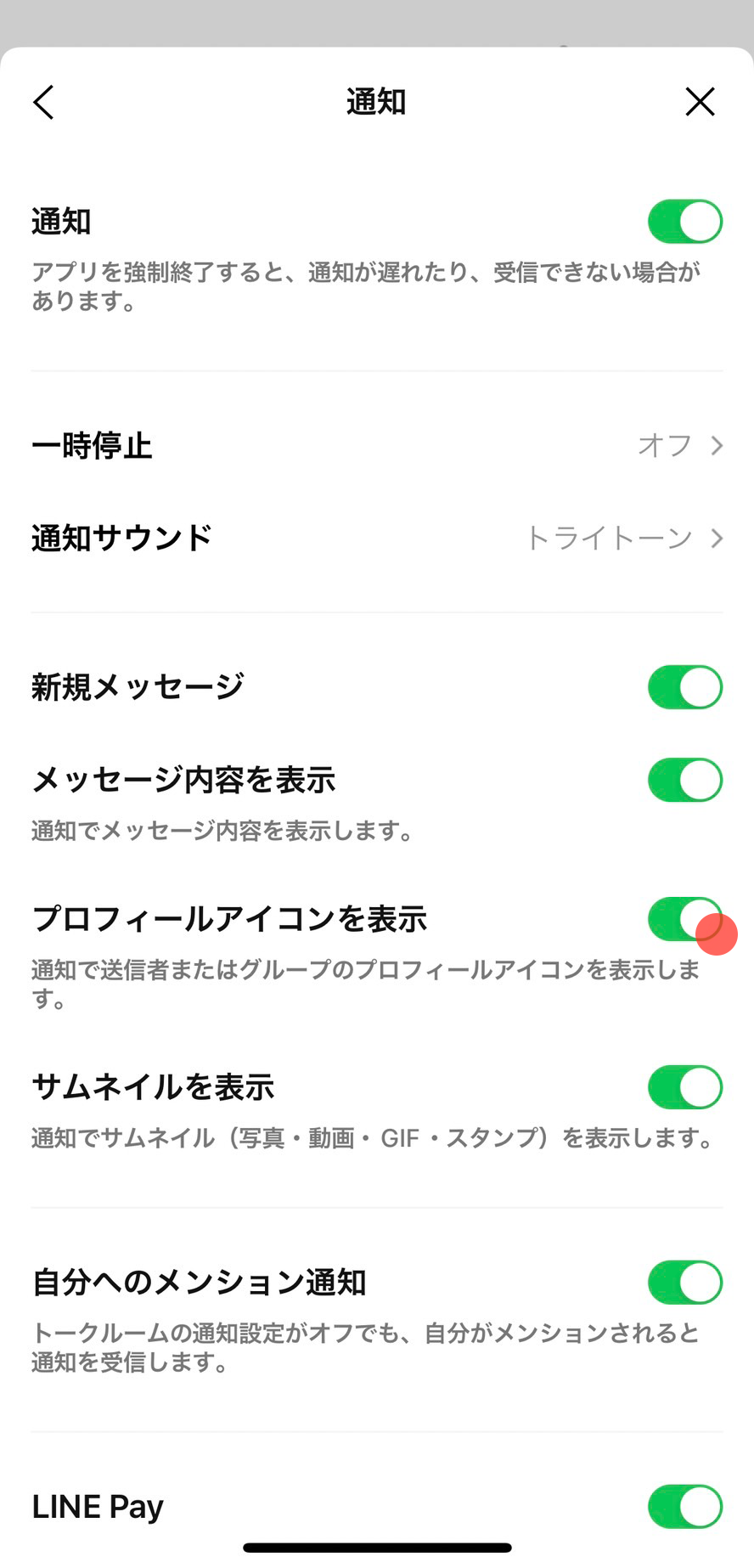 setting_ios12_icon.png