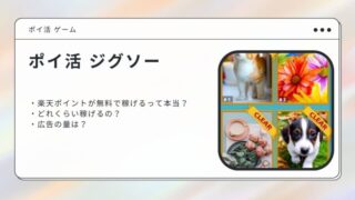 ポイ活 ジグソー