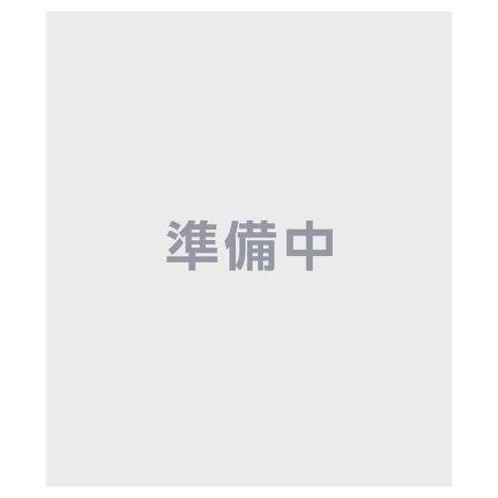 劇場版 魔法少女まどか☆マギカ新編叛逆の物語 ガシャポンカンタペストリー