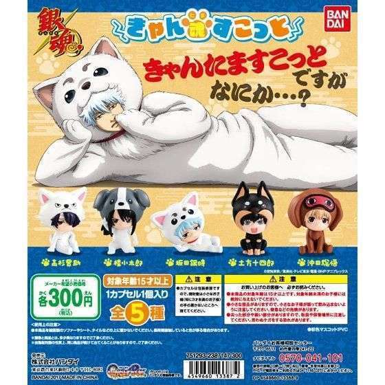 銀魂 きゃん魂すこっと