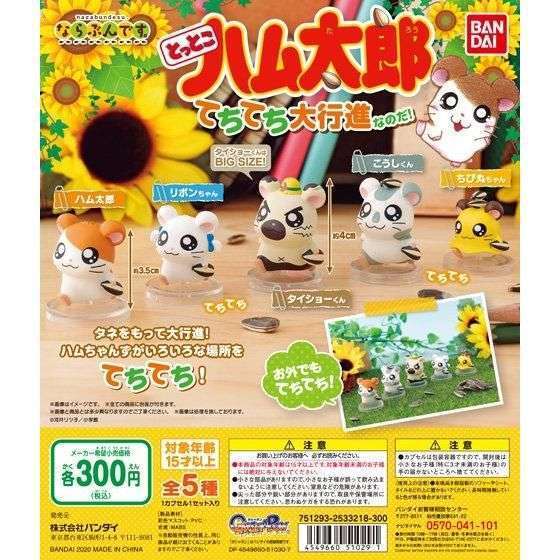 ならぶんです。 とっとこハム太郎 てちてち大行進なのだ!
