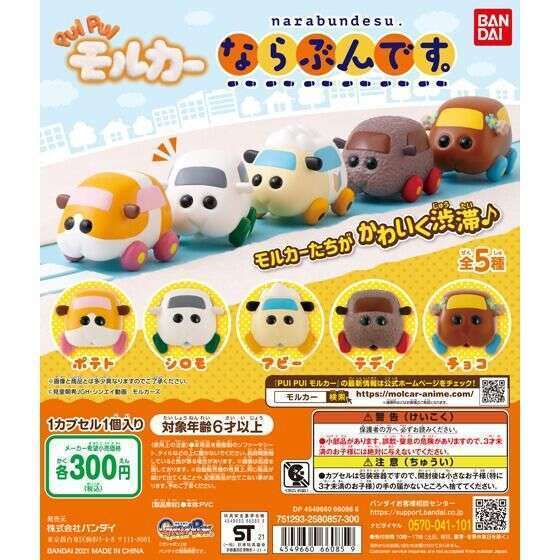 PUI PUI モルカー ならぶんです。