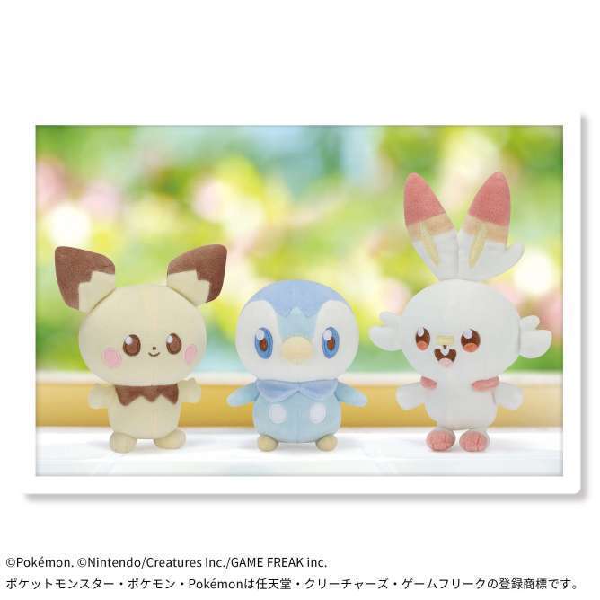 ポケピース ぬいぐるみ~ピチュー・ポッチャマ・ヒバニー~