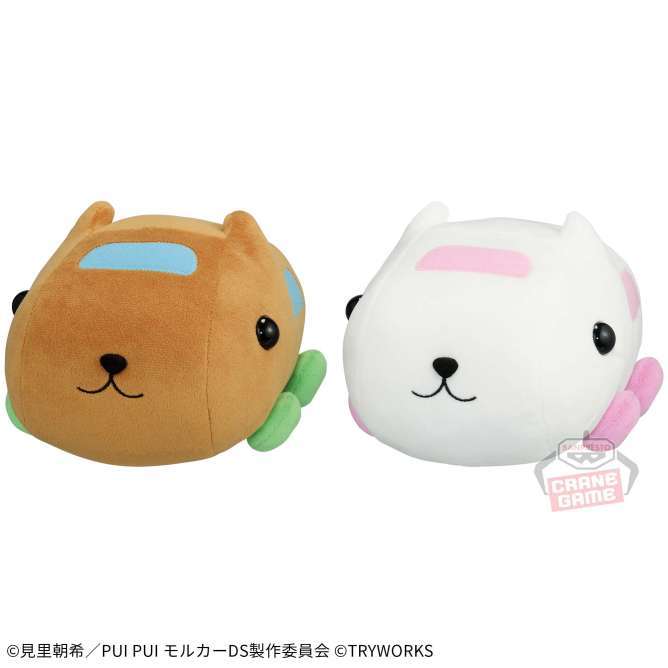 PUI PUI モルカー×カピバラさん もふぐっとぬいぐるみ
