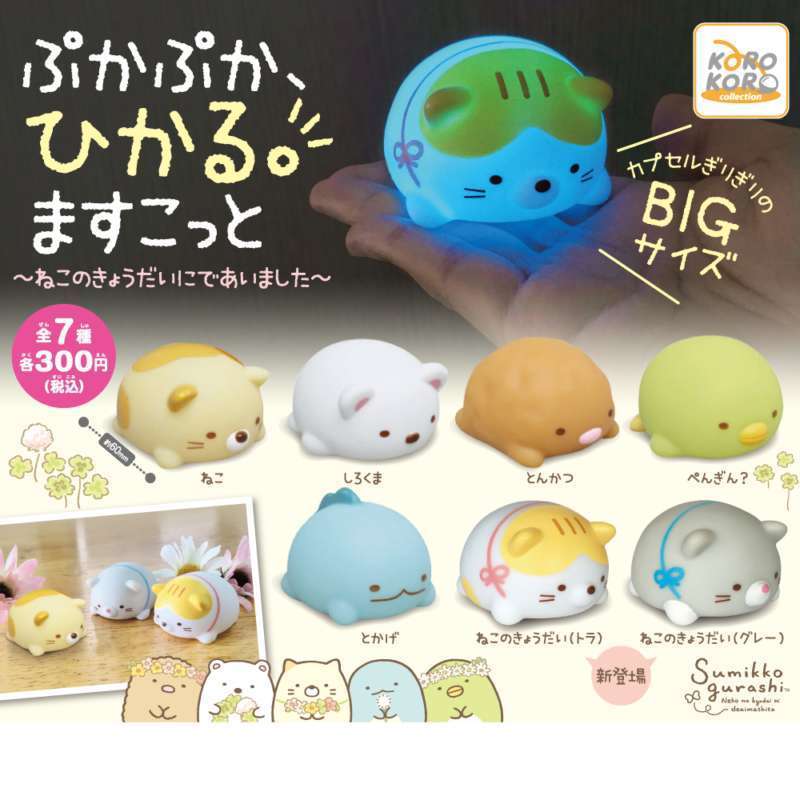 すみっコぐらし ぷかぷか、ひかる。ますこっと~ねこのきょうだいにであいました~