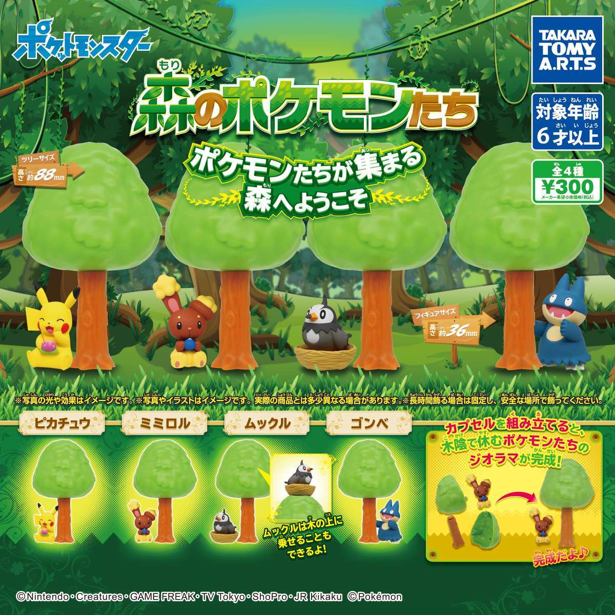 森のポケモンたち