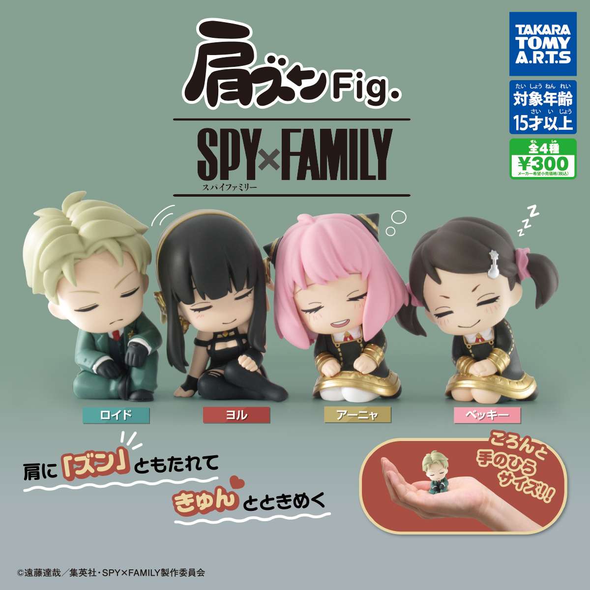 肩ズンFig. SPY×FAMILY