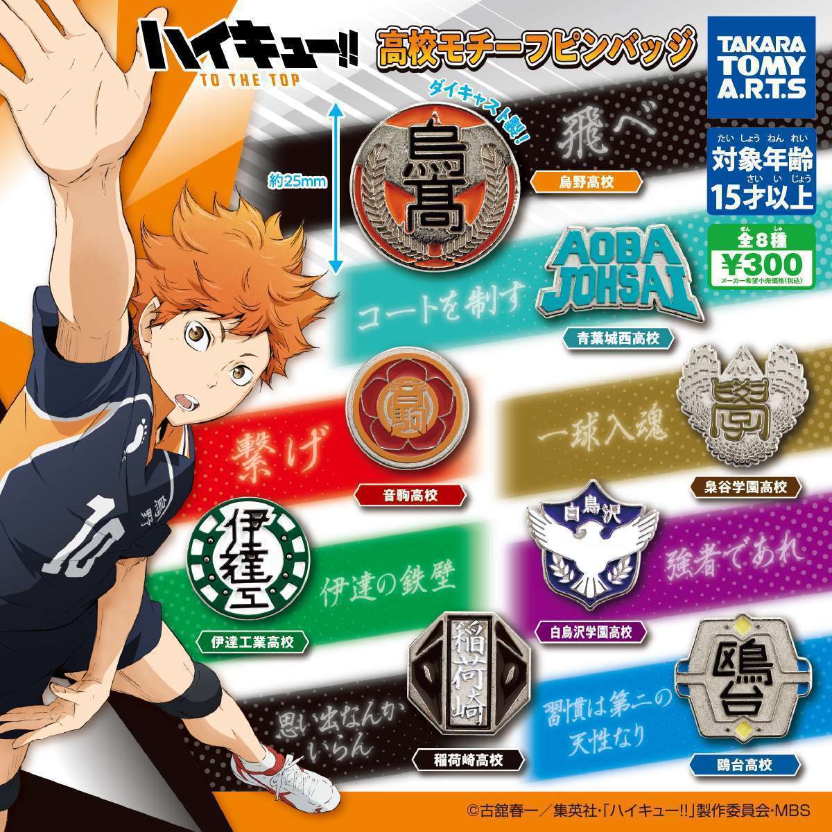 ハイキュー!! TO THE TOP 高校モチーフピンバッジ