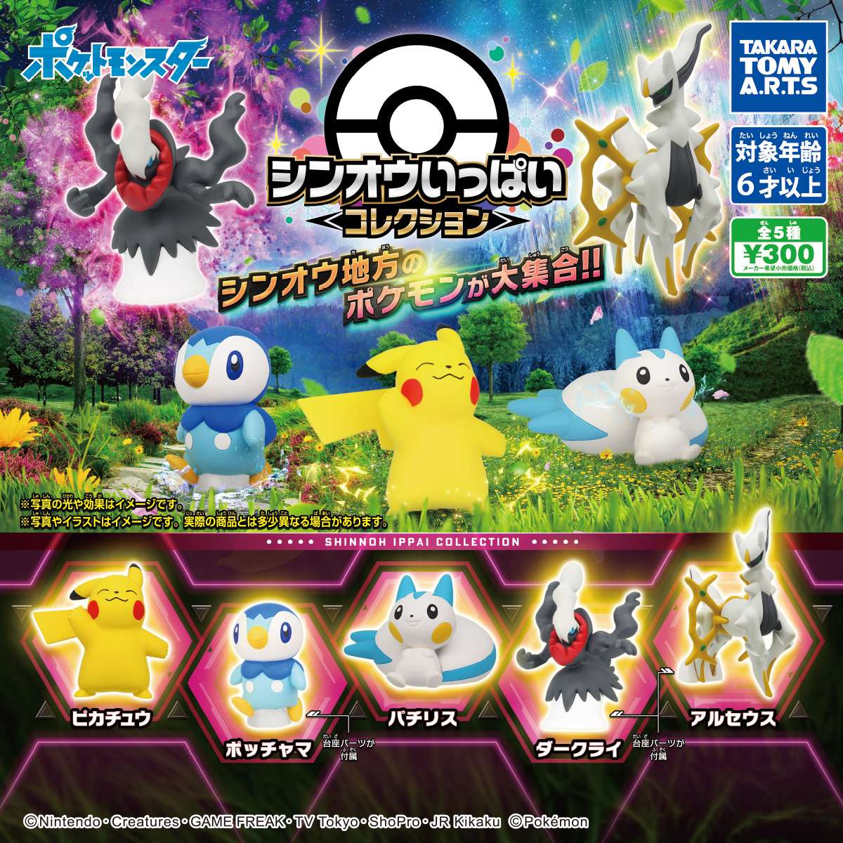 ポケモン　シンオウいっぱいコレクション