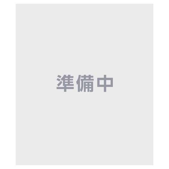 ミュージカル『刀剣乱舞』 十周年記念 ミニチュアペンライトチャーム