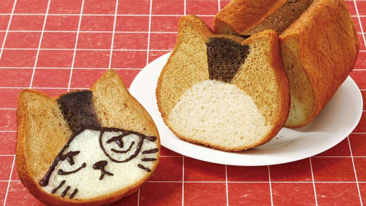 ハイキュー!!カラスとネコの調理ジッシュー開催