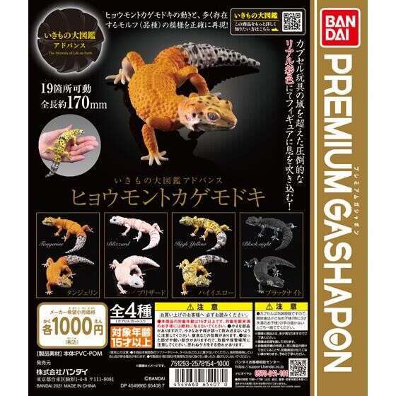 いきもの大図鑑アドバンス ヒョウモントカゲモドキ