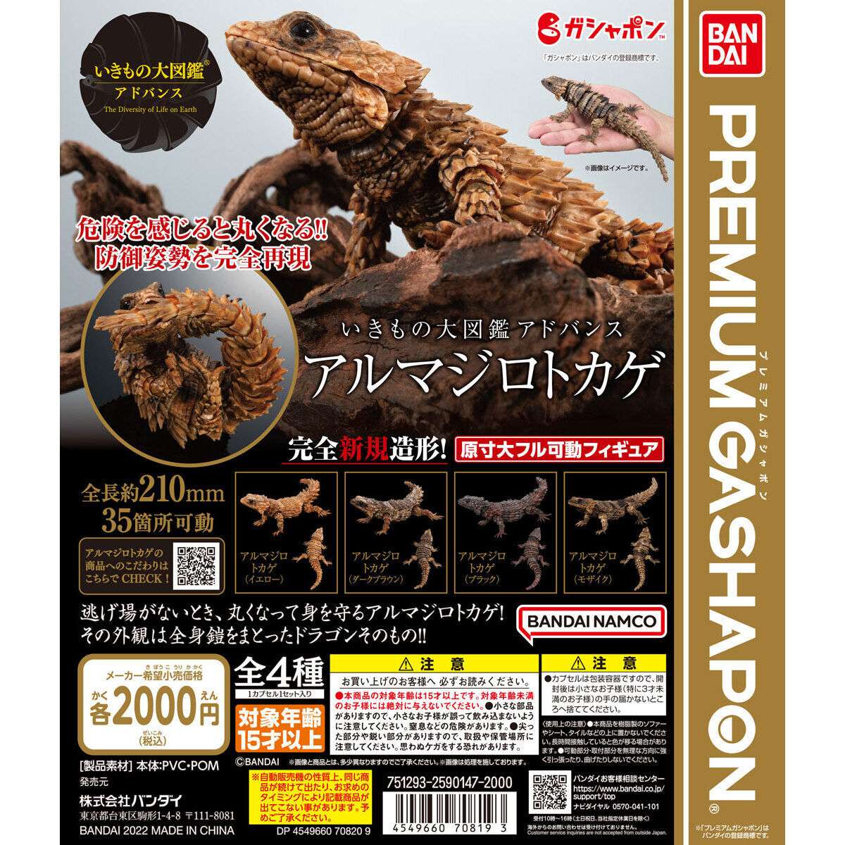 いきもの大図鑑アドバンス アルマジロトカゲ