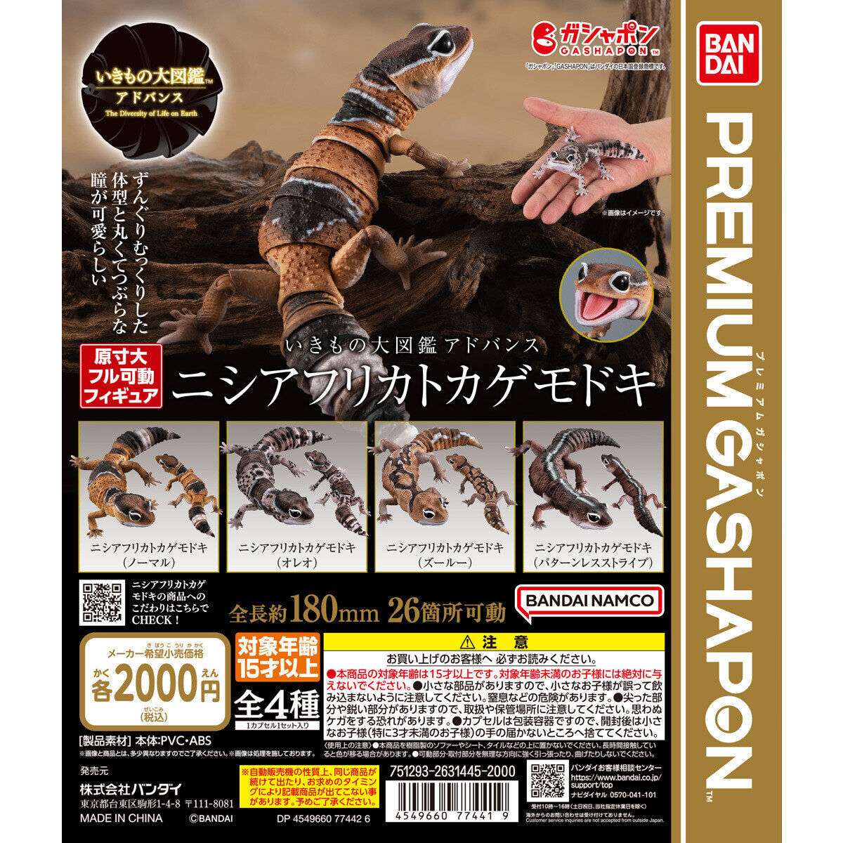 いきもの大図鑑アドバンス ニシアフリカトカゲモドキ