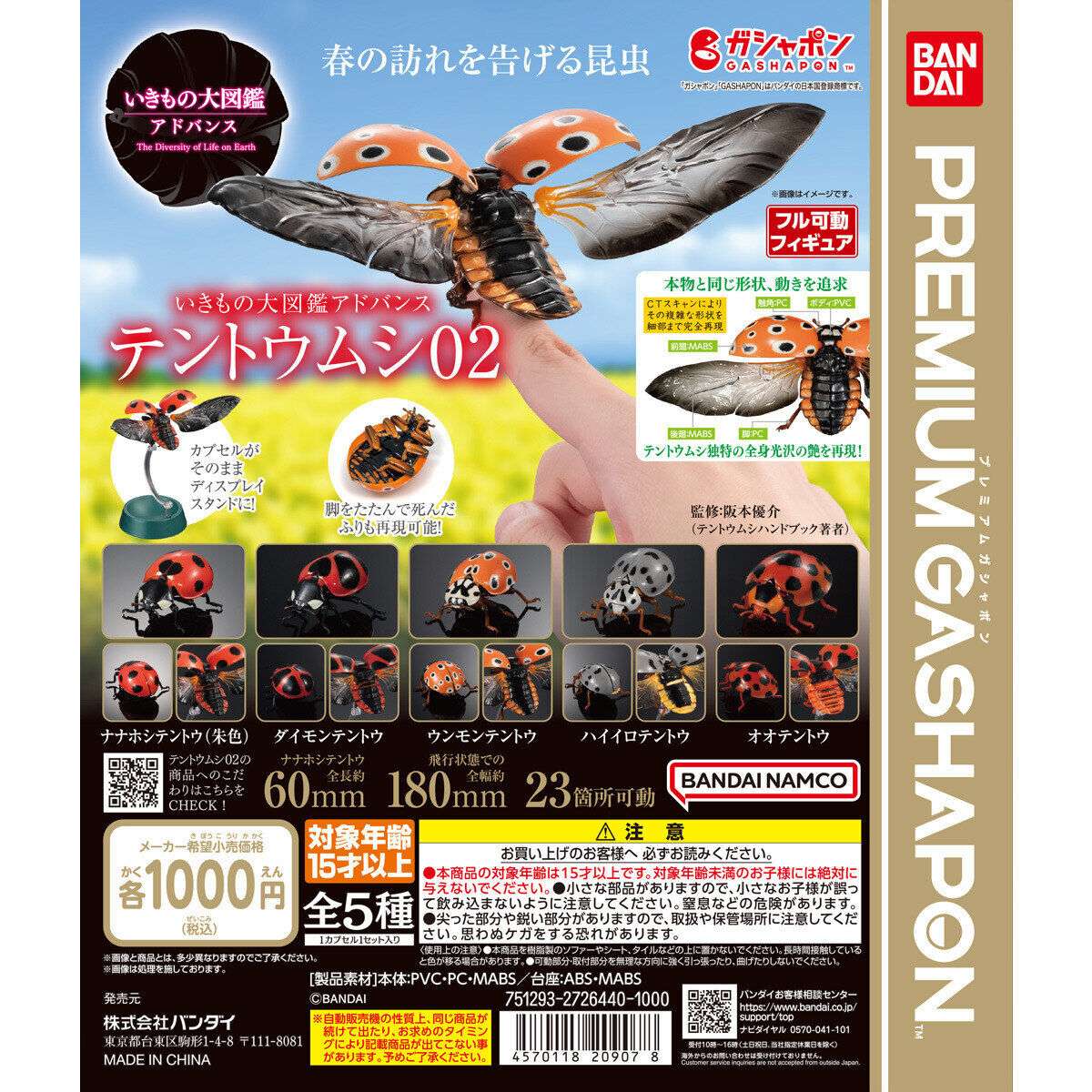 いきもの大図鑑アドバンス テントウムシ02