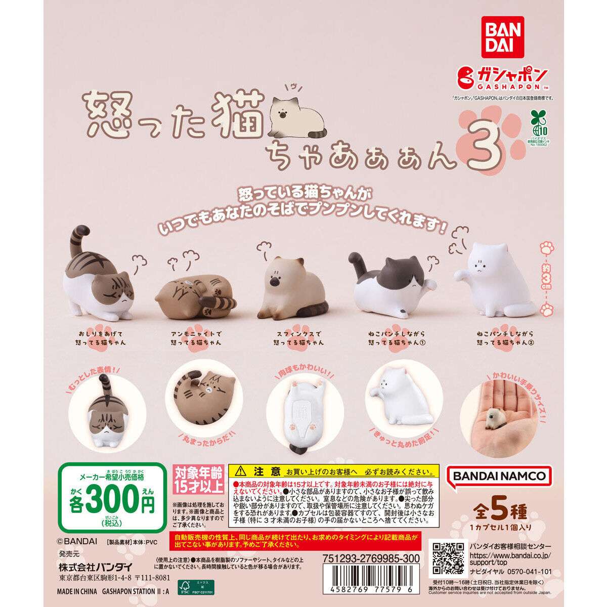 怒った猫ちゃあぁぁん3