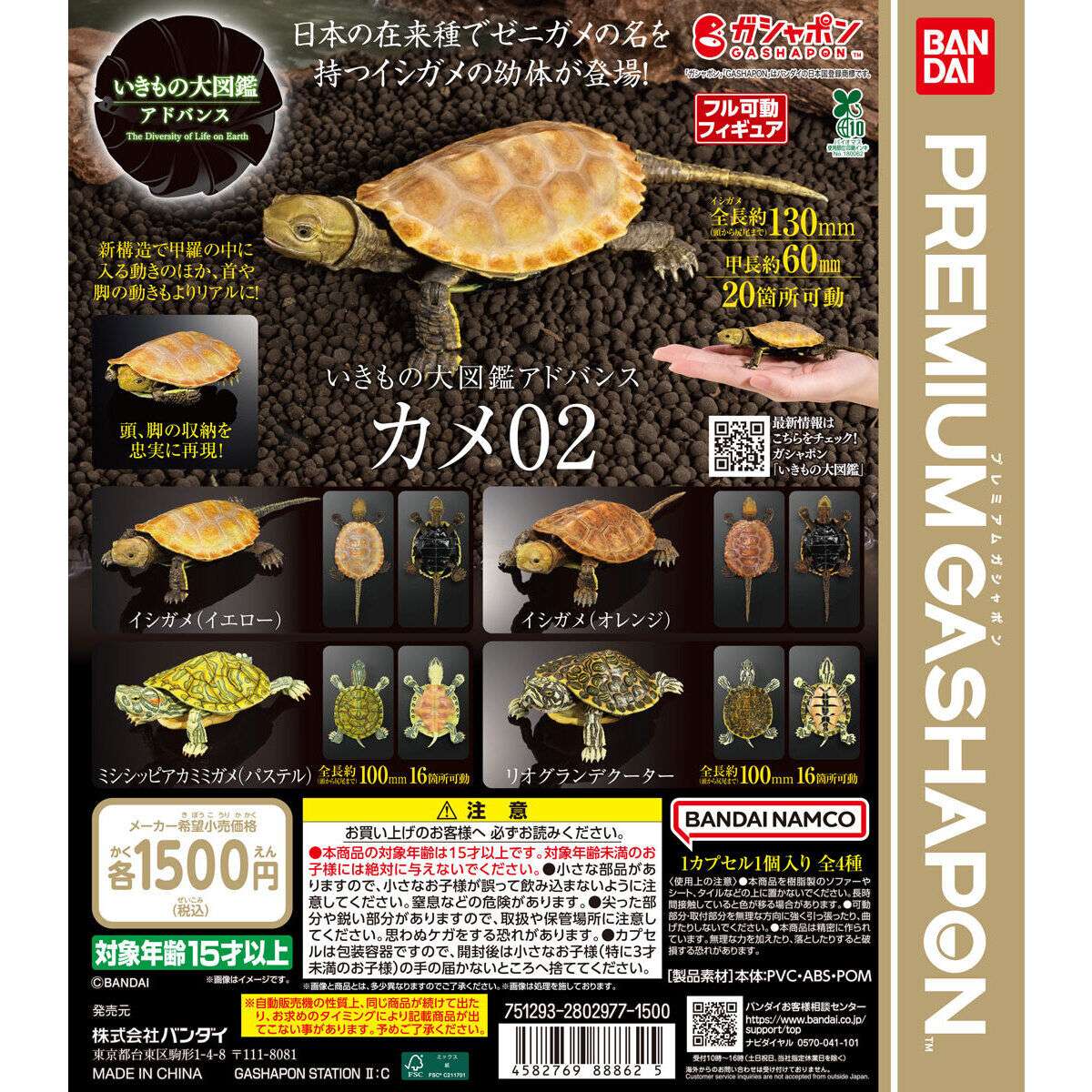 いきもの大図鑑アドバンス カメ02