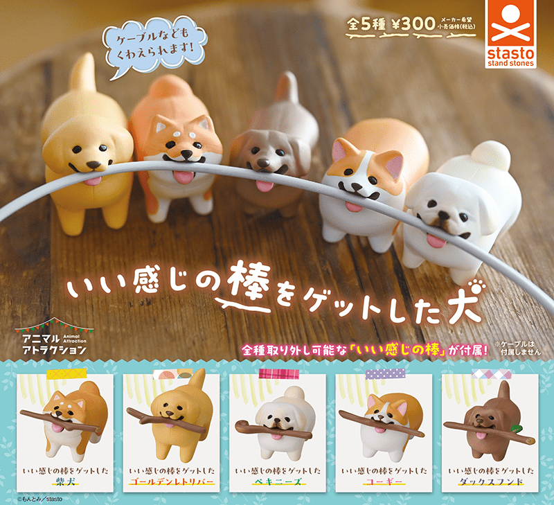 いい感じの棒をゲットした犬