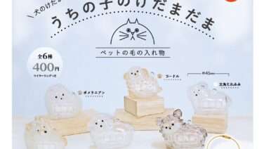 うちの子のけだまだま ガチャガチャ