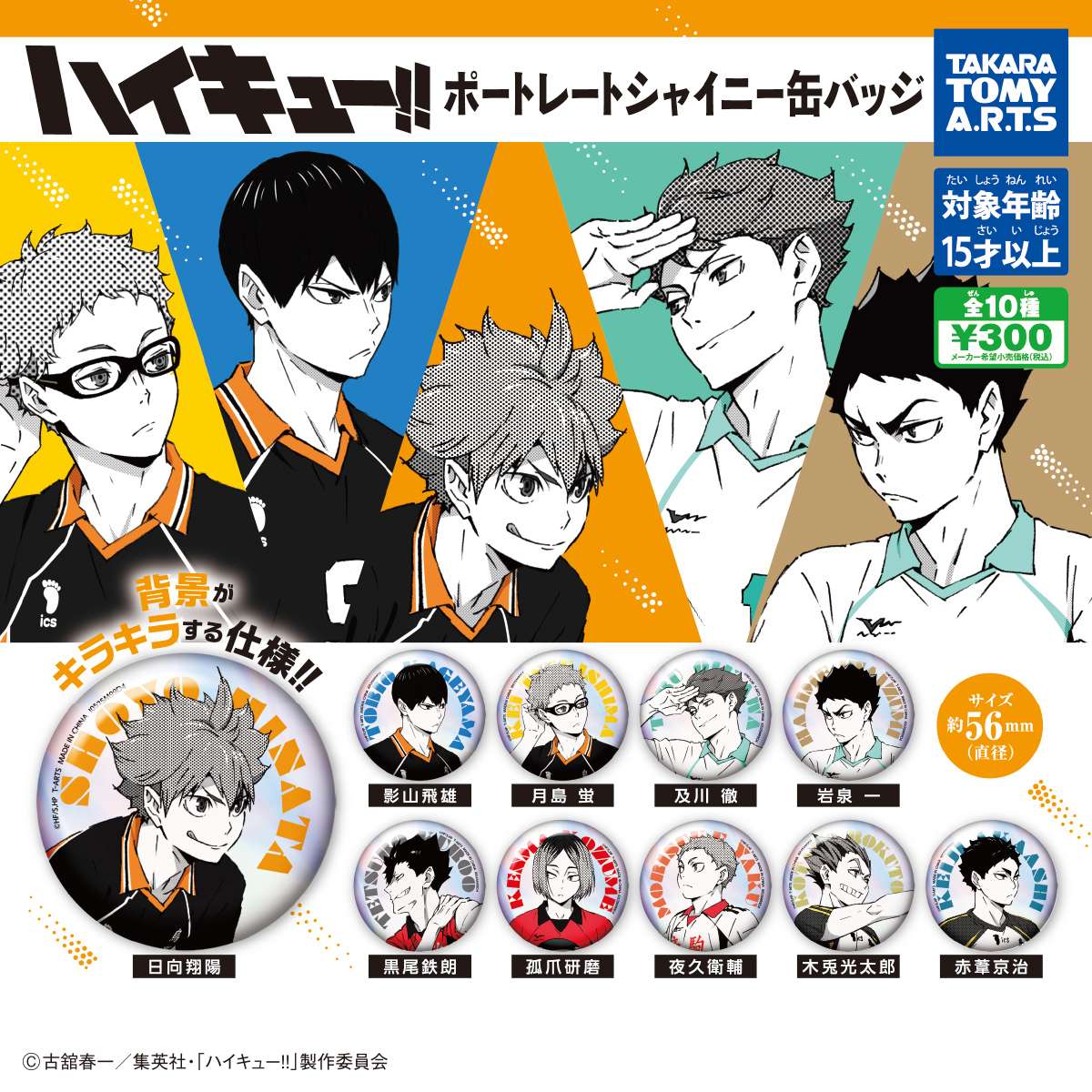 ハイキュー!! ポートレートシャイニー缶バッジ