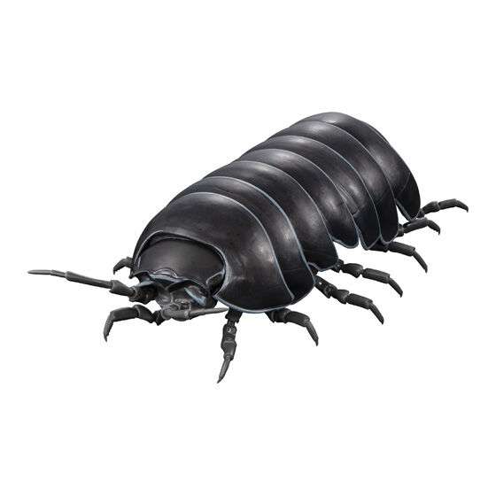 いきもの大図鑑アドバンス ダンゴムシ