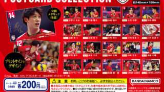 バレーボール男子日本代表 ガチャガチャ