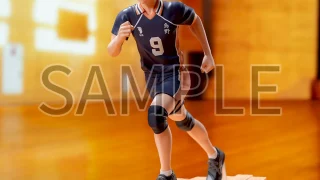 ハイキュー プライズ