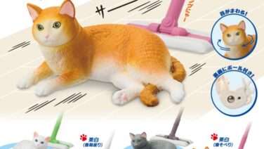 猫 ガチャガチャ