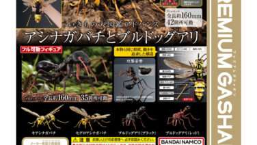 いきもの大図鑑 ガチャガチャ