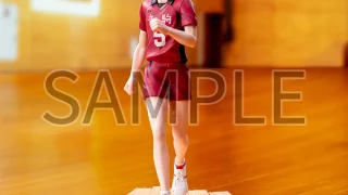 ハイキュー プライズ