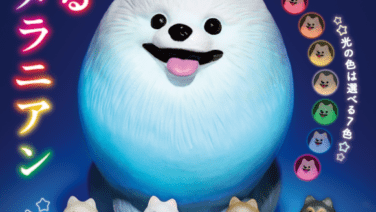 犬 ガチャガチャ