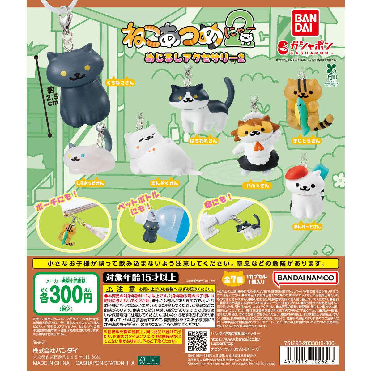 ねこあつめ2 めじるしアクセサリー2