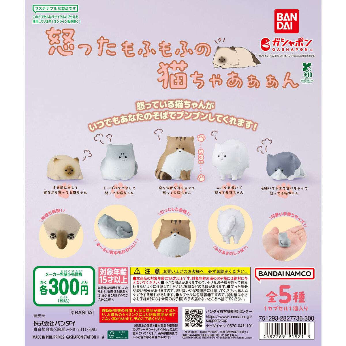 怒ったもふもふの猫ちゃあぁぁん