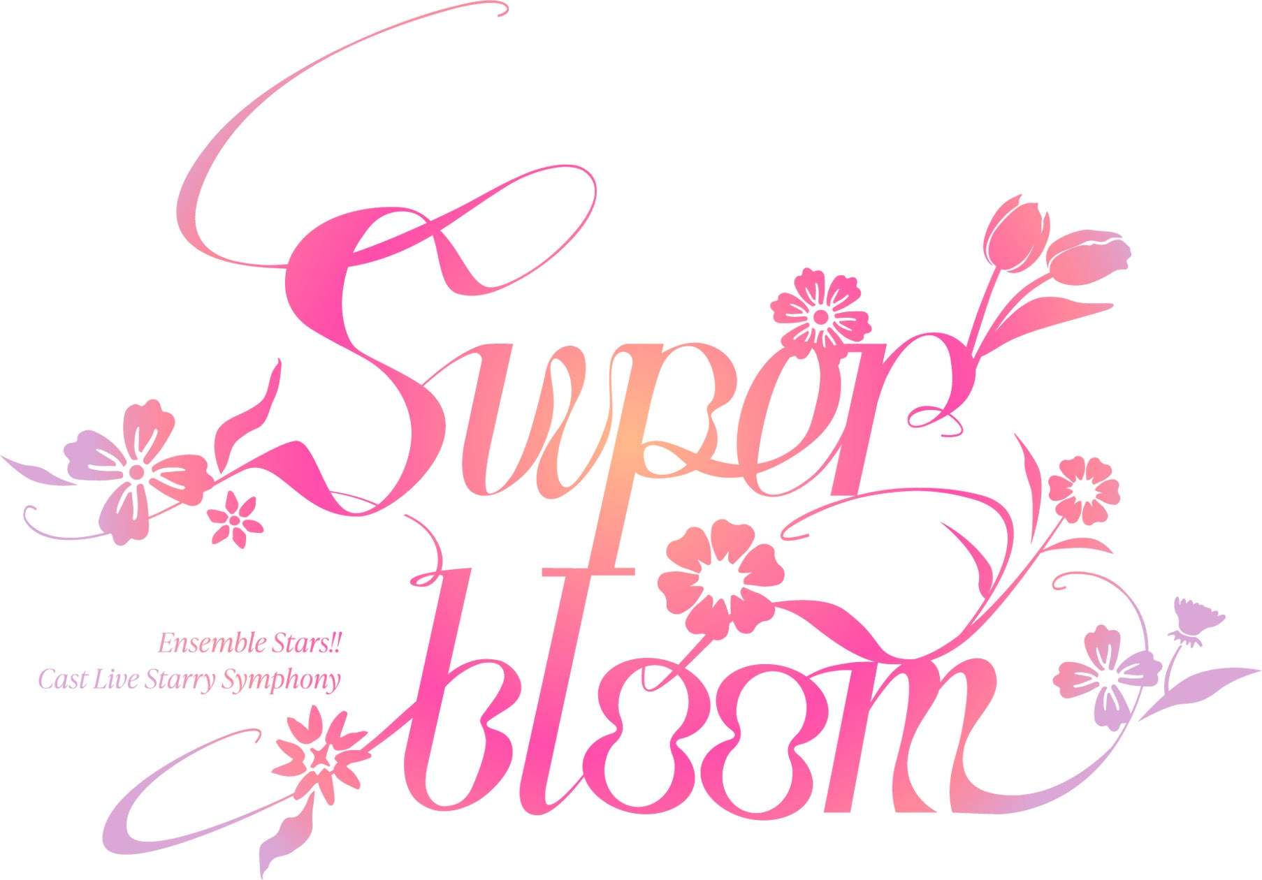 【2025年11月22日開催】あんさんぶるスターズ!! Cast Live Starry Symphony -Superbloom-