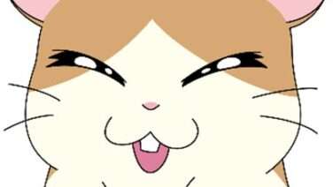 ハム太郎 コラボ