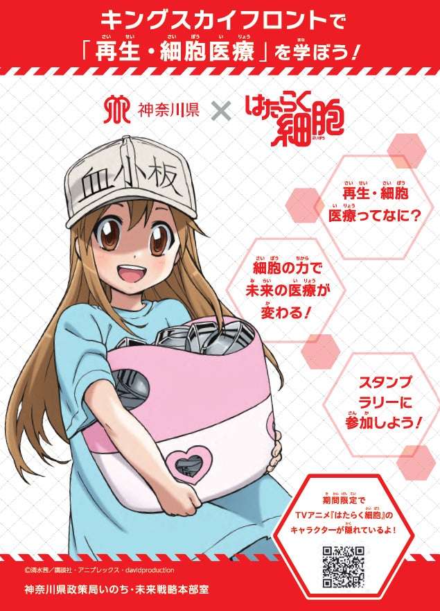 【2025年8月12日開催】はたらく細胞「再生・細胞医療」スタンプラリー