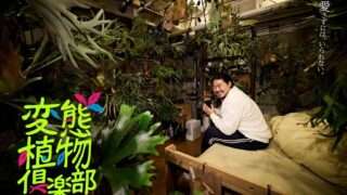 ひょうろく コラボ