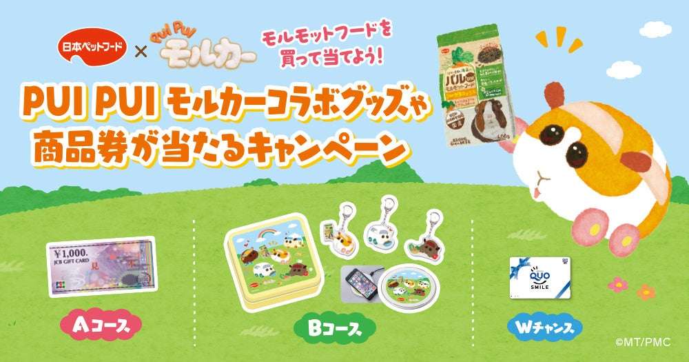 【2025年6月1日開催】PUI PUI モルカーコラボキャンペーン